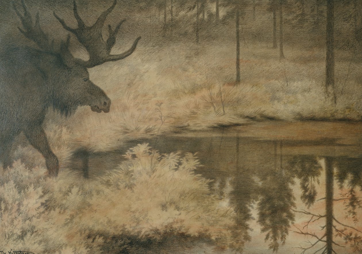 Älgen kommer för att släcka sin törst av Theodor Kittelsen