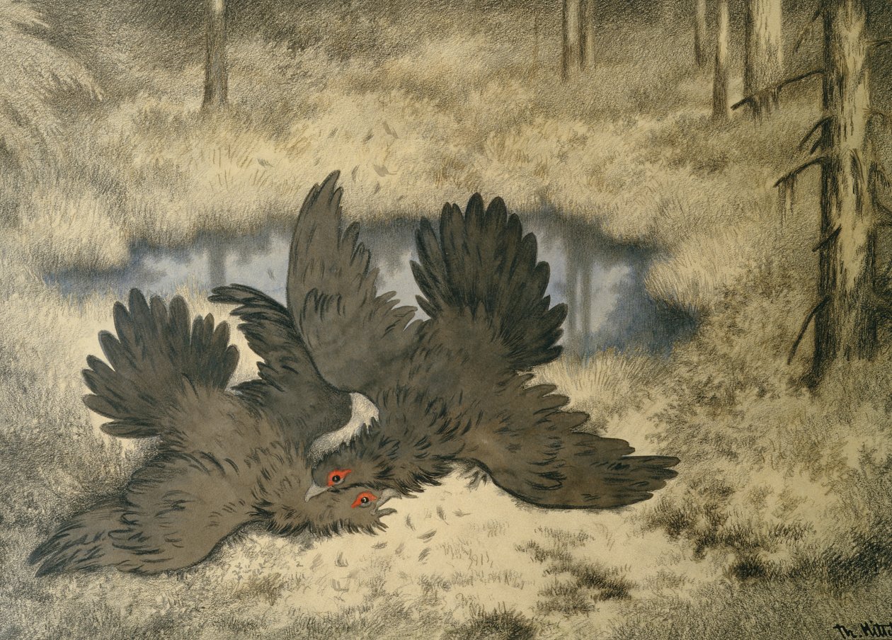 Trollfågeln slåss där inne av Theodor Kittelsen