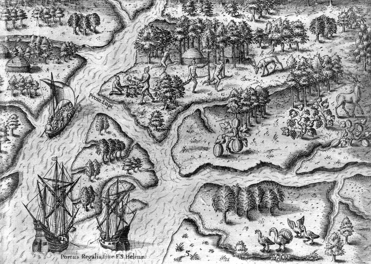 Den franska expeditionen landar i Port Royal, Florida av Theodor de Bry