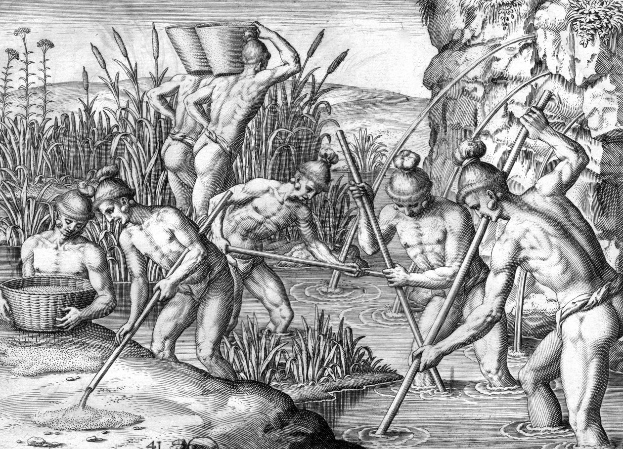 Timucua-indian som samlar guld av Theodor de Bry