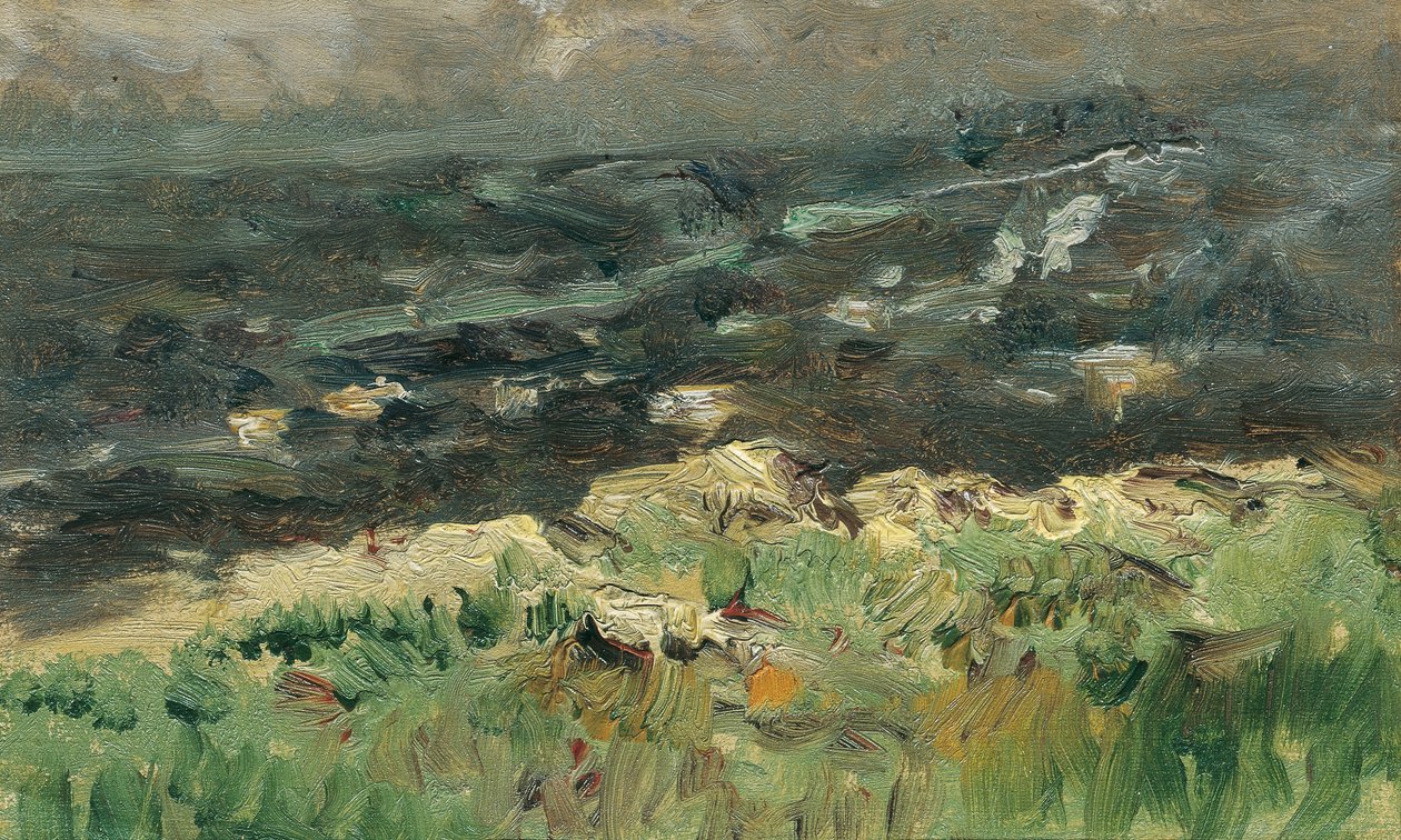 På havsstranden av Theodor von Hormann