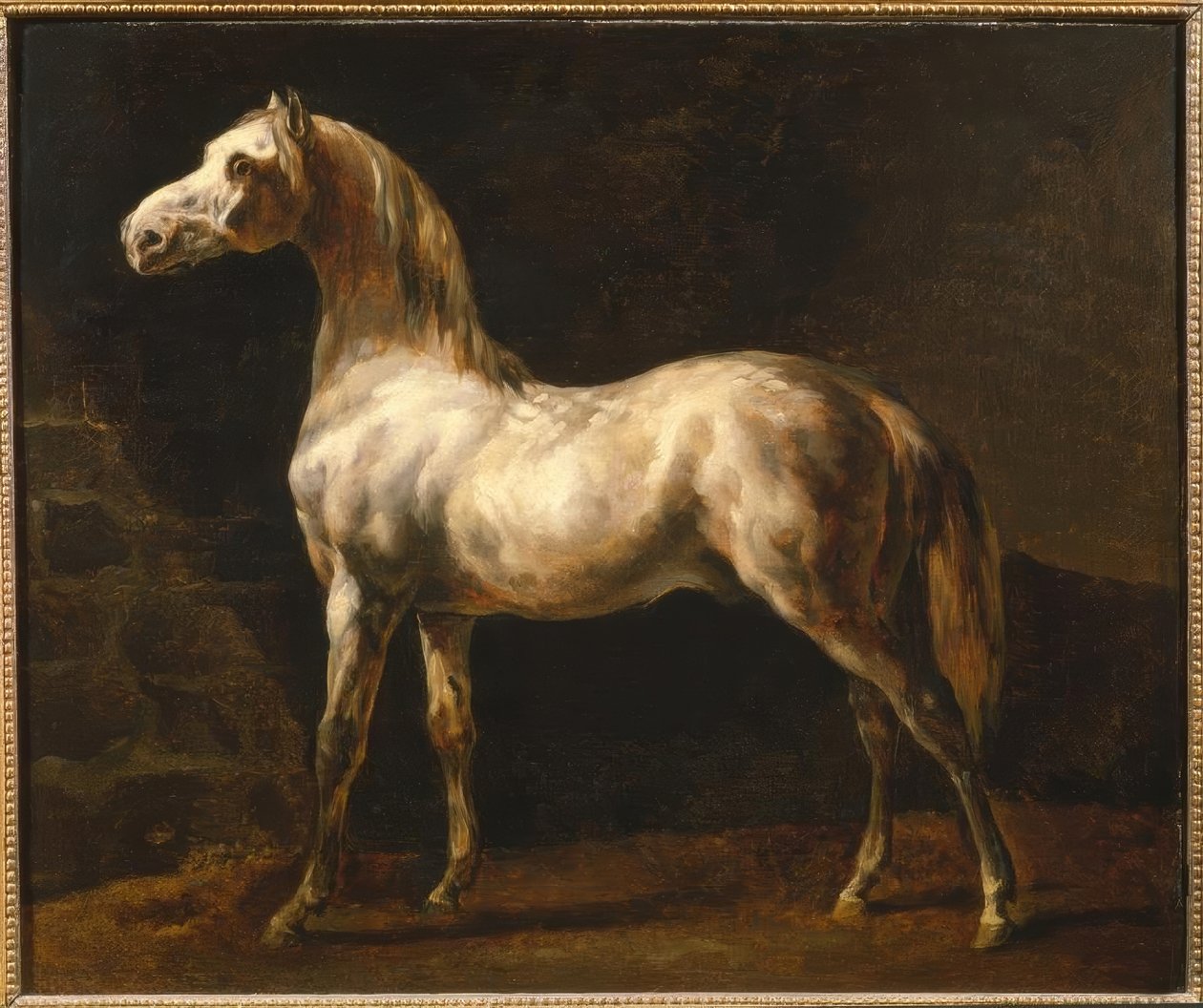 Den vita hingsten av Theodore Gericault