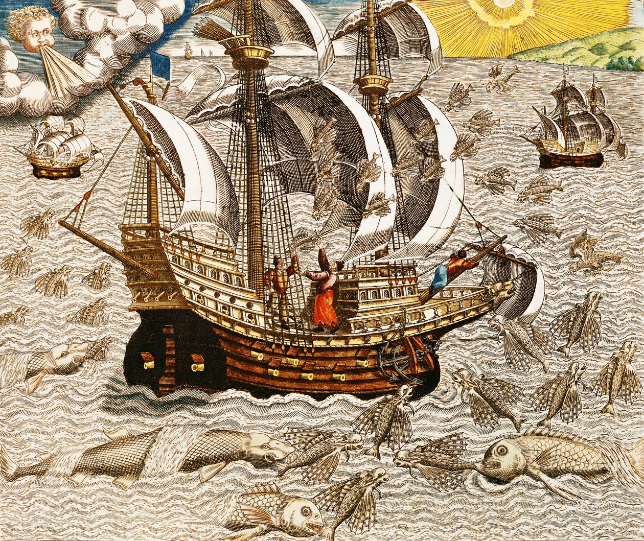 Flying Fish Meet in the Torrid Zone, från 