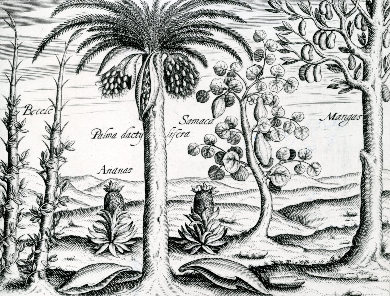 Landskap, Illustration från 