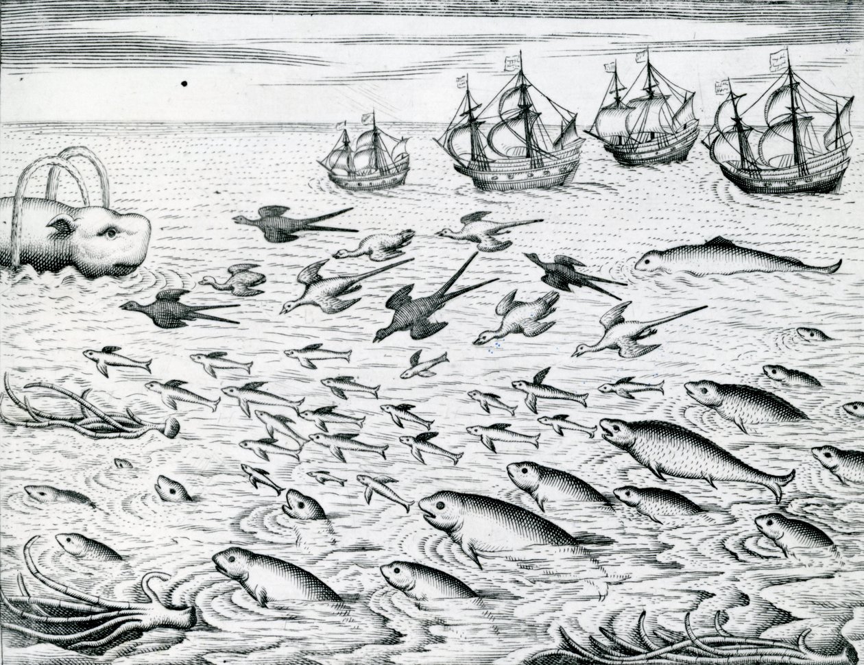 Seascape, Illustration från 