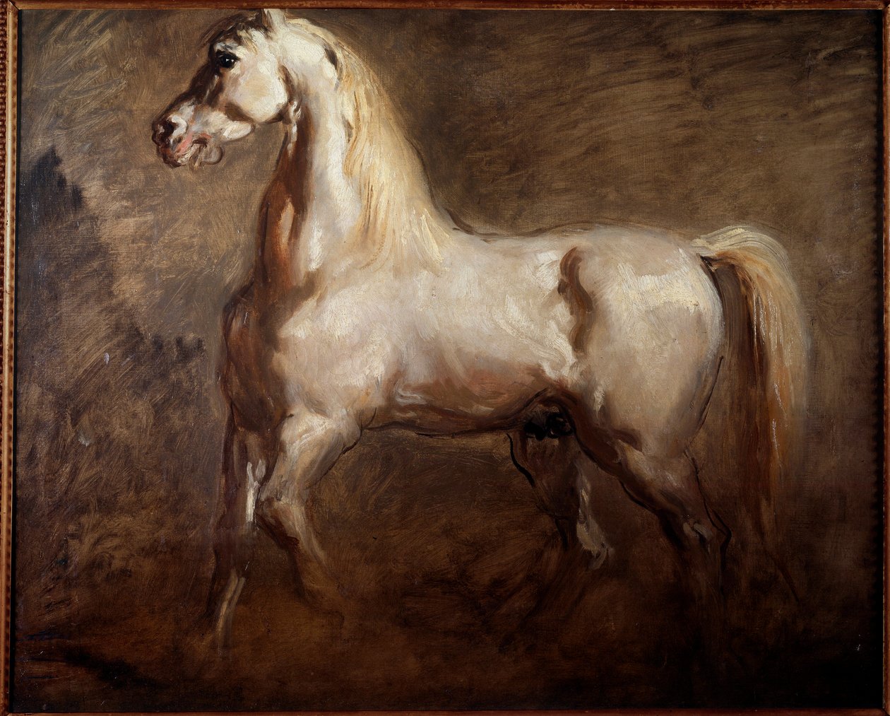 Studie av vit häst i vänster profil Målning av Theodore Chasseriau av Théodore Chassériau