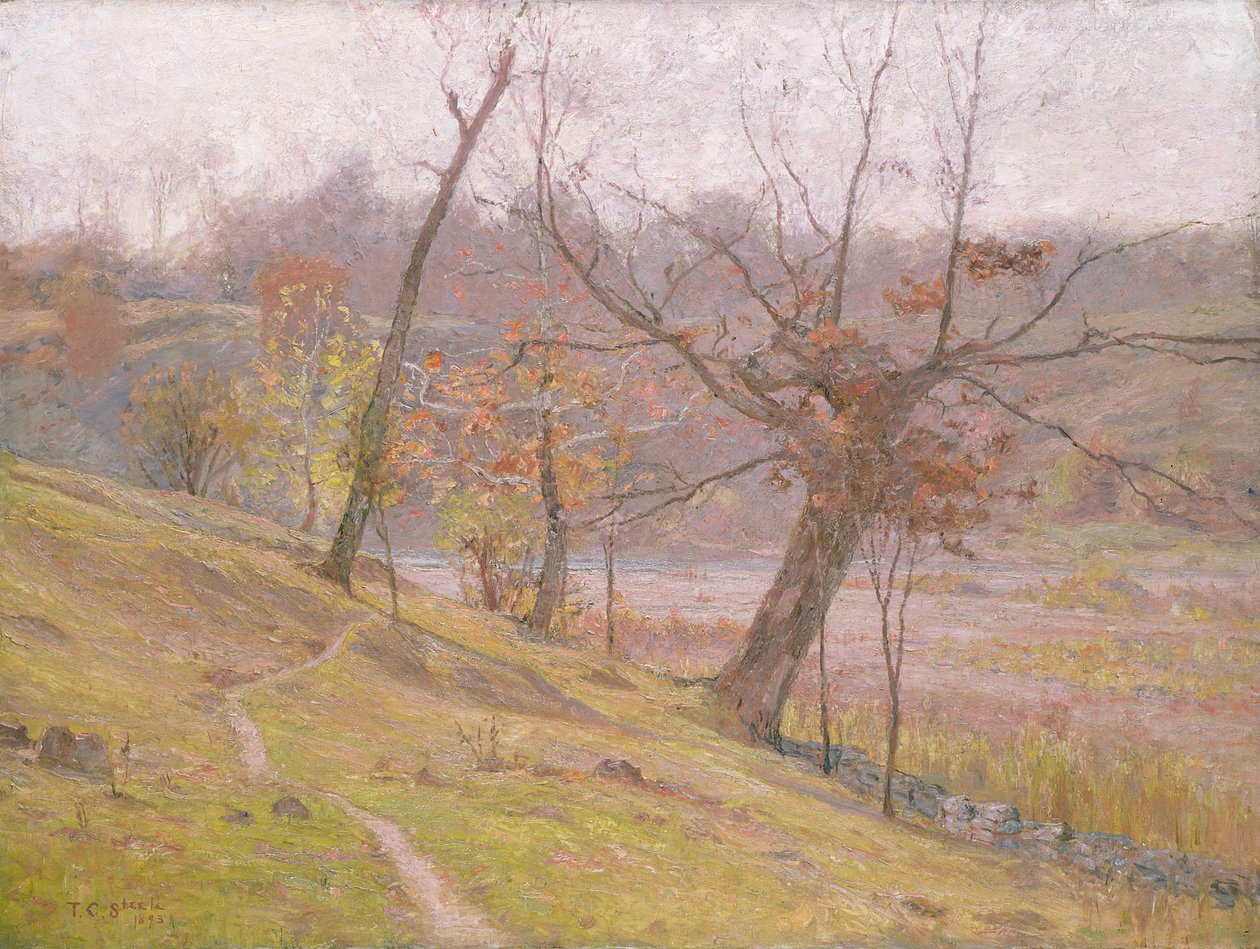 Druvans blomning av Theodore Clement Steele