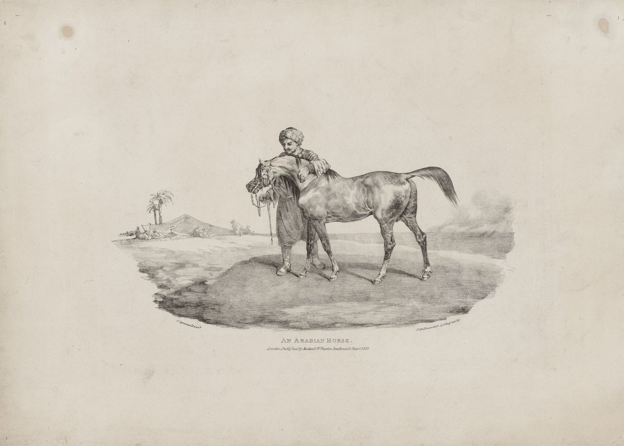 En arabhäst av Theodore Gericault