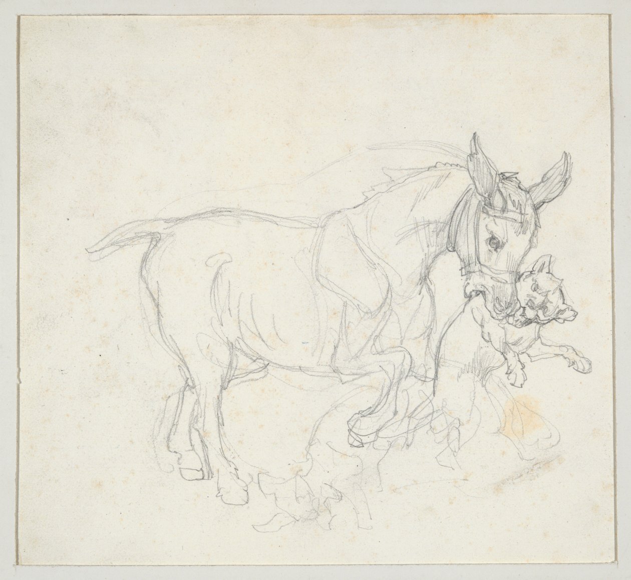 Åsna som håller en hund i munnen (framsidan); Studie av hjort som jagas av hundar, hjorthuvud (baksidan) av Theodore Gericault