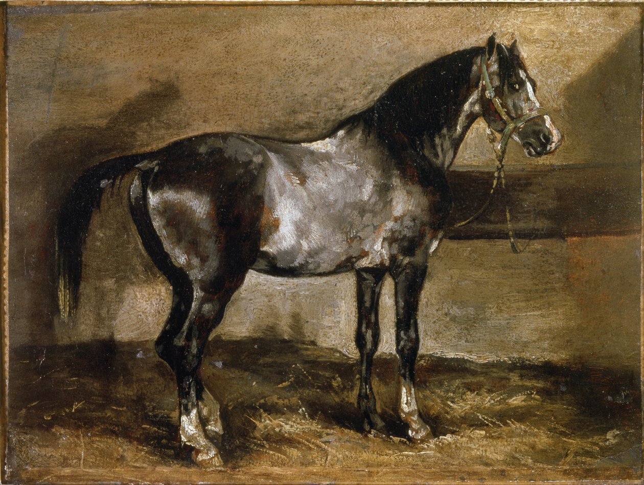Grey Horse at the Ratelier - olja på duk av Theodore Gericault
