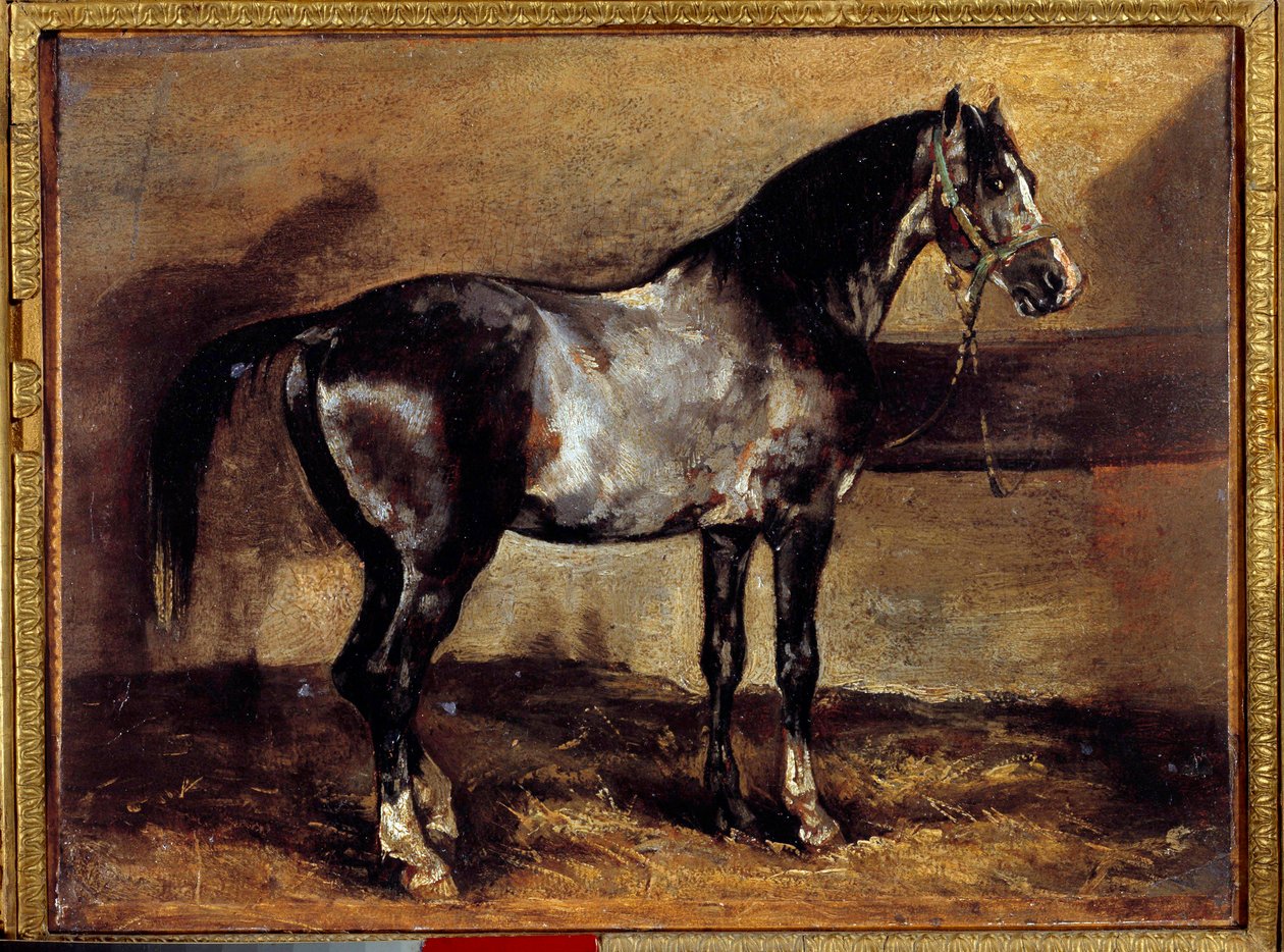 Grey Horse at the Ratelier Målning av Theodore Gericault (1791-1824) 1800-talets sön. 0,26x0,34 m av Theodore Gericault