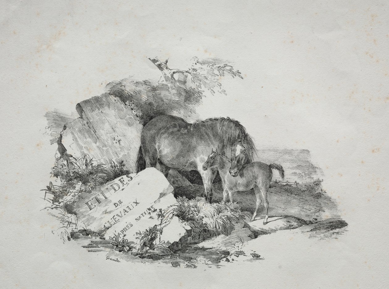 Stoet och hennes föl. av Theodore Gericault