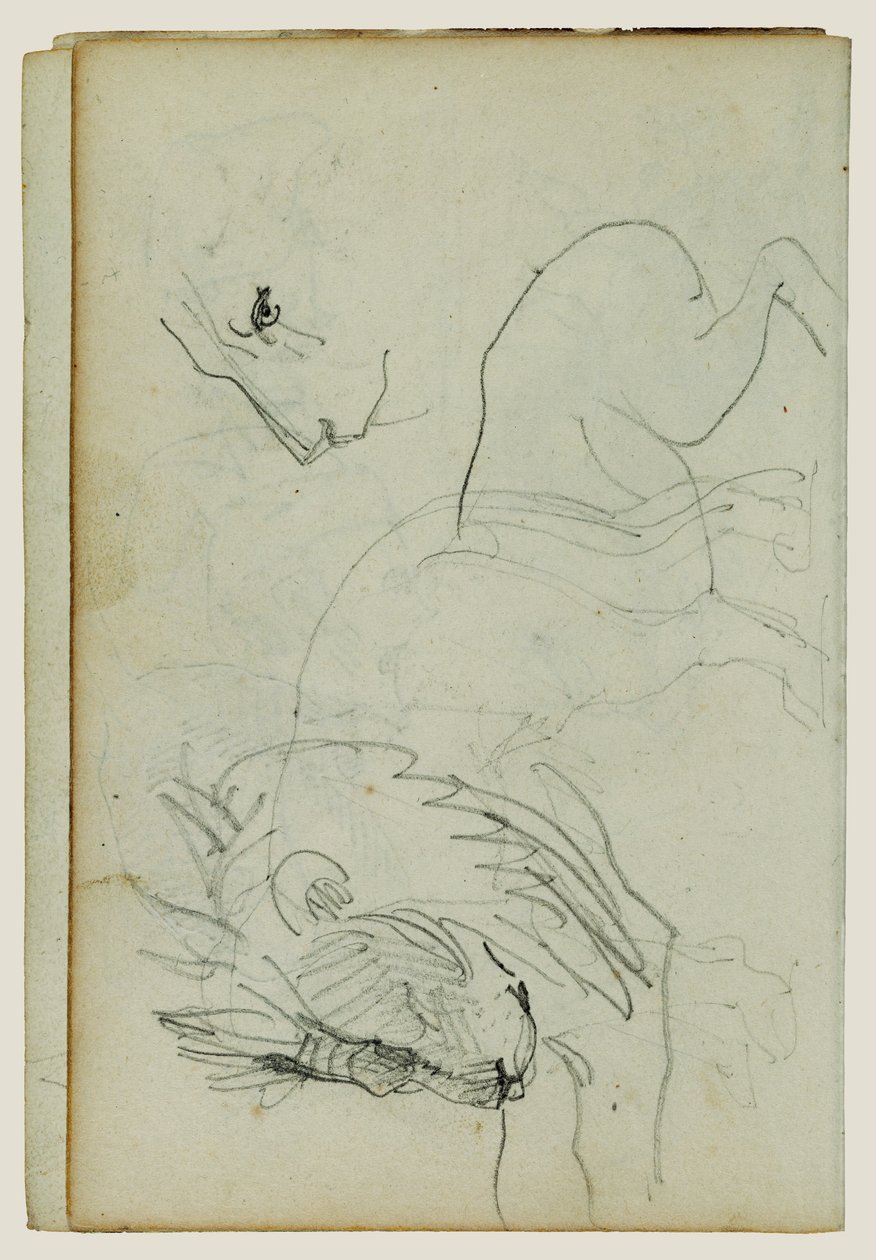 Studier av lejon av Theodore Gericault