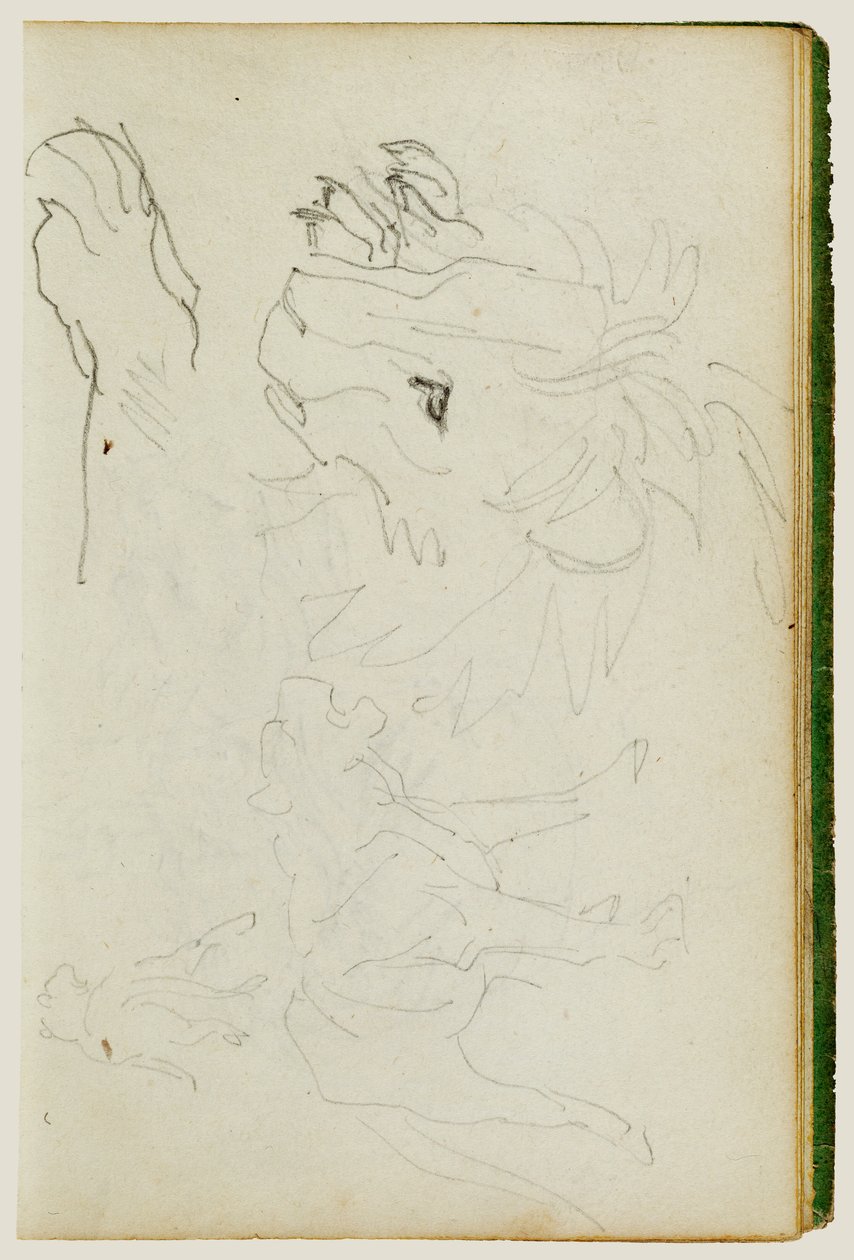 Studier om lejon av Theodore Gericault