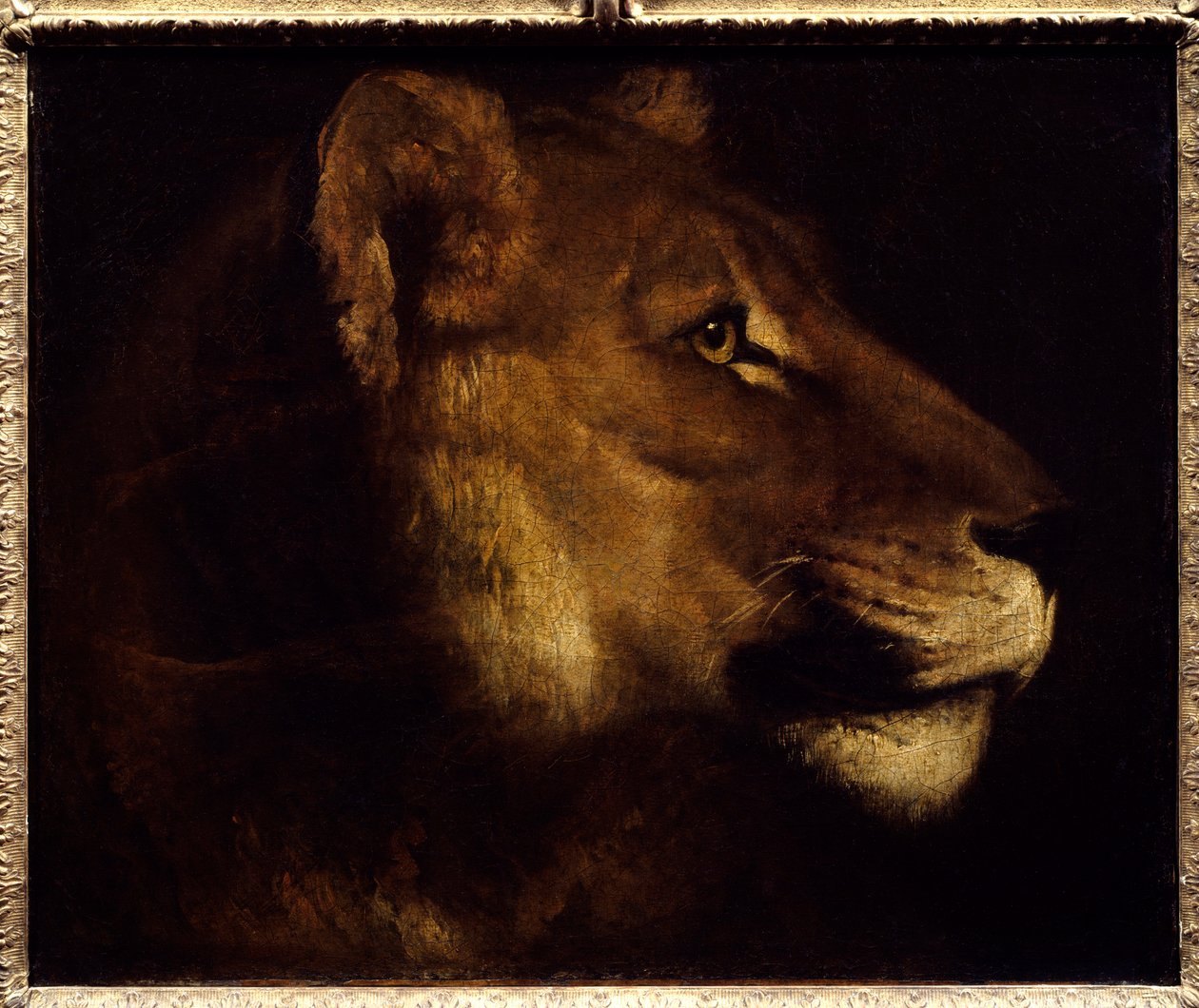 Lejoninna huvudmålning av Theodore Gericault (1791-1824) 1800-talets sön. 0,55x0,65 m Paris, Louvren. - Chef för lejoninnan. Målning av Theodore Gericault (1791-1824) av Theodore Gericault