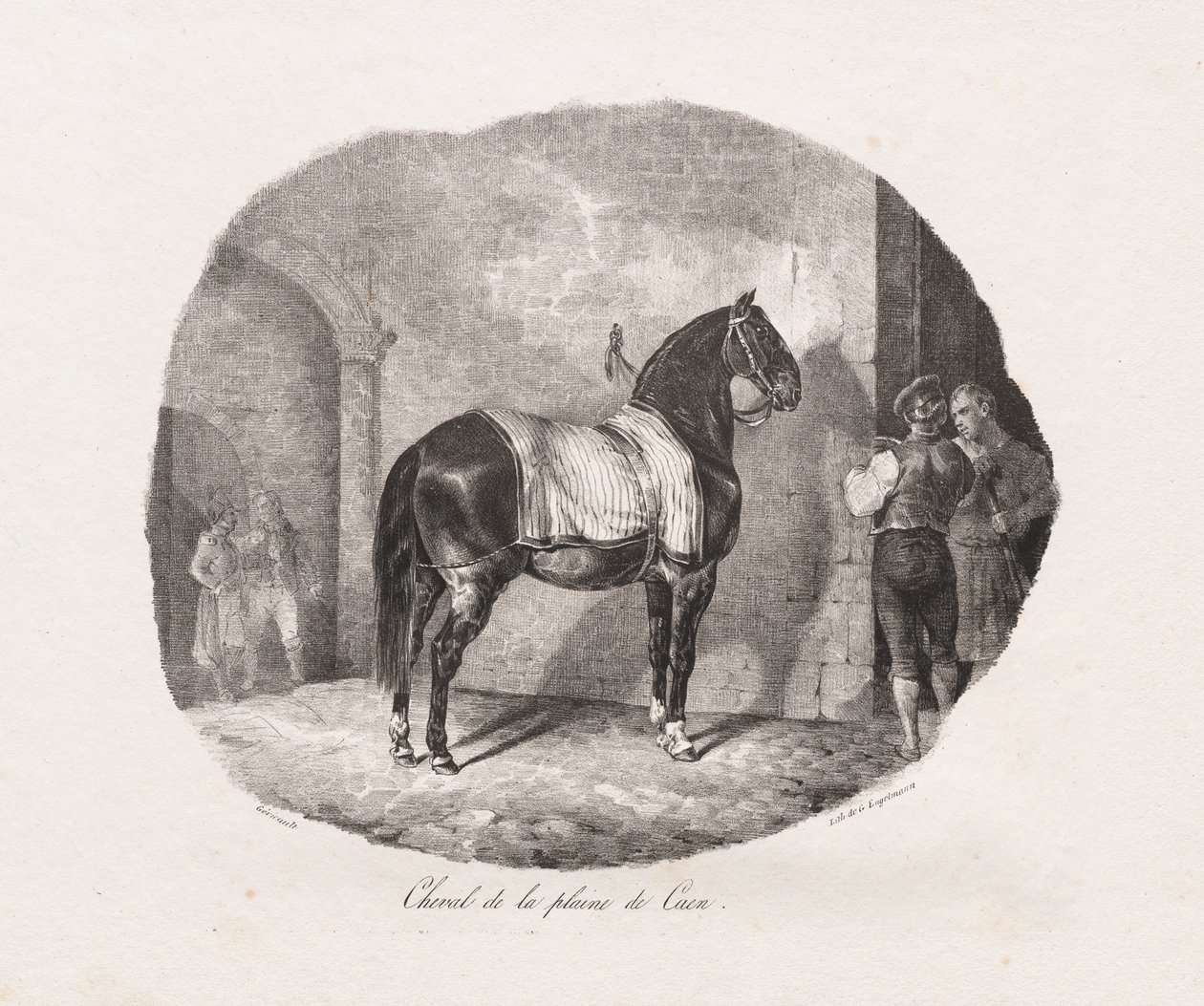 Litograferade studier av hästar: Pl. 7, Häst från Caenslätten, 1822. av Theodore Gericault