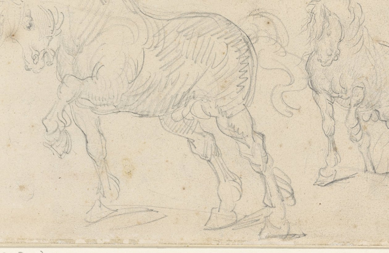 Häststudier av Theodore Gericault