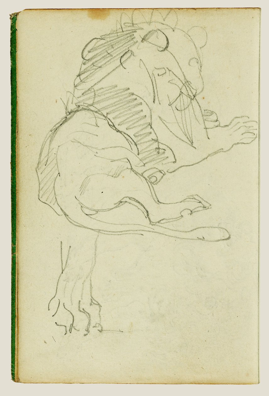 Sittande lejon av Theodore Gericault