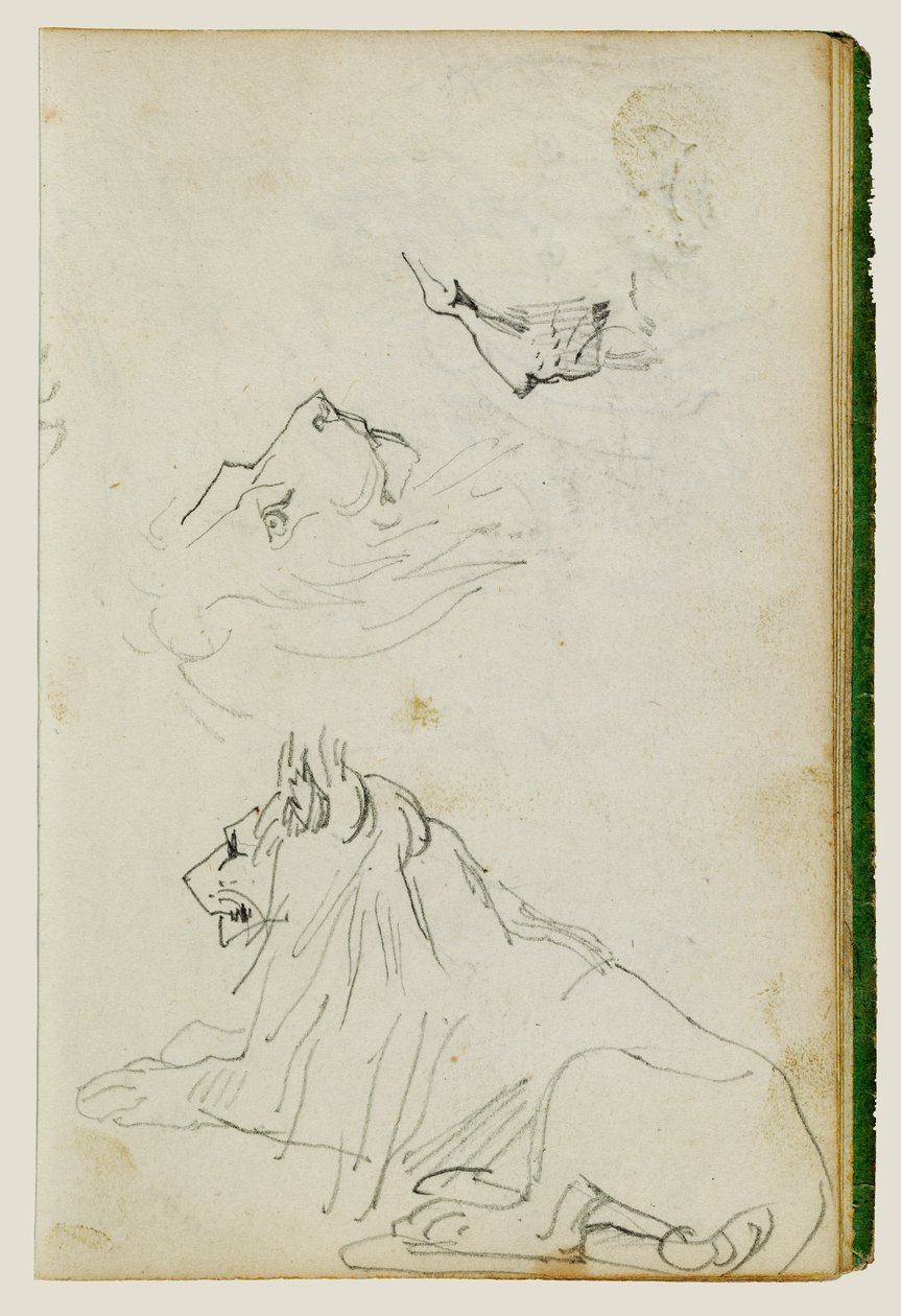 Sittande lejon, två studier av lejonhuvuden av Theodore Gericault
