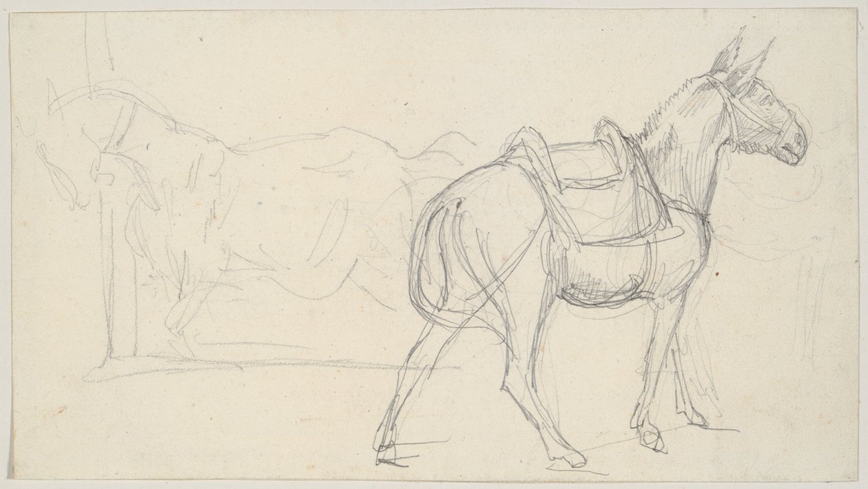 Skiss av en häst av Theodore Gericault
