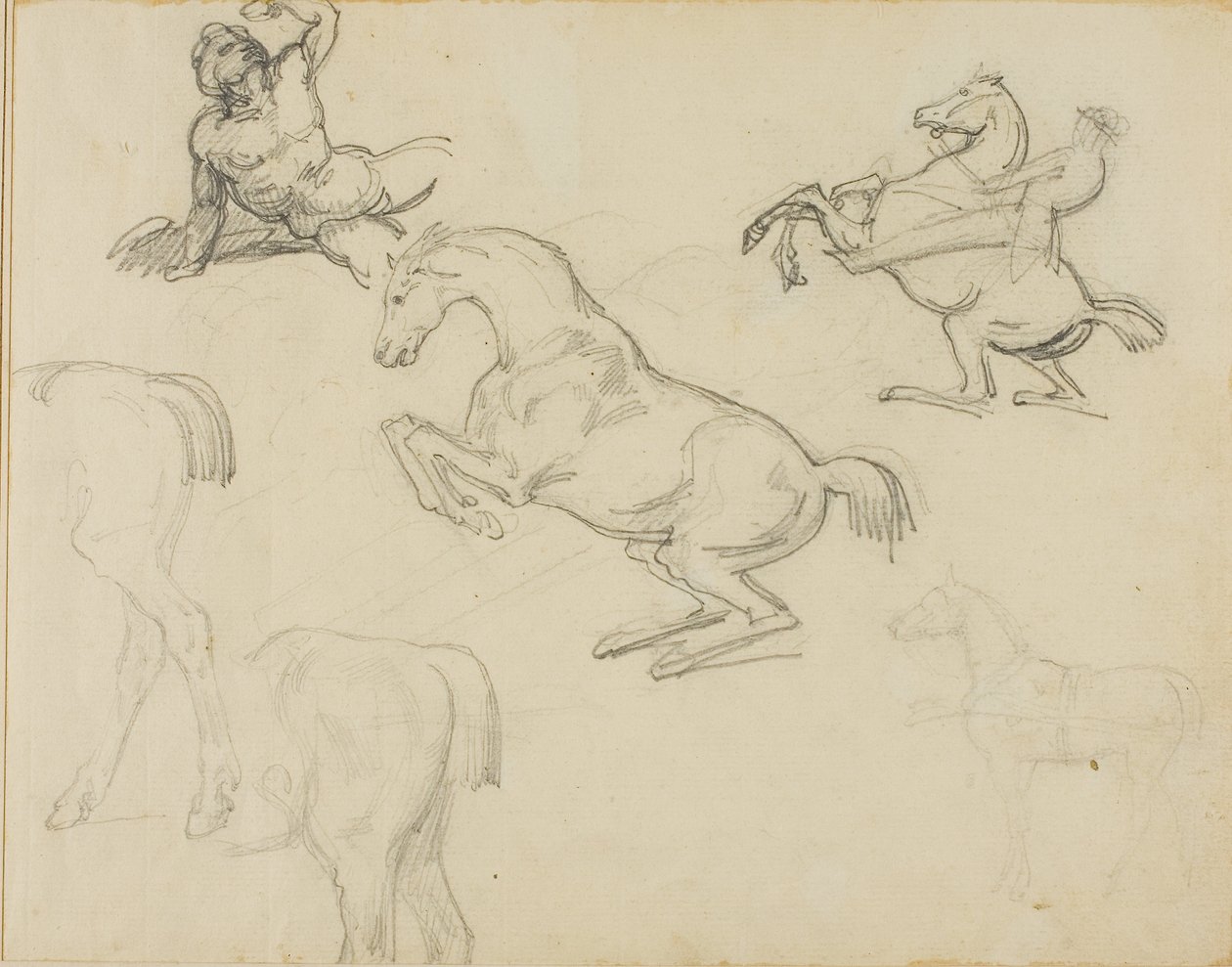 Skisser: Liggande naken, en ryttare och olika hästar av Theodore Gericault