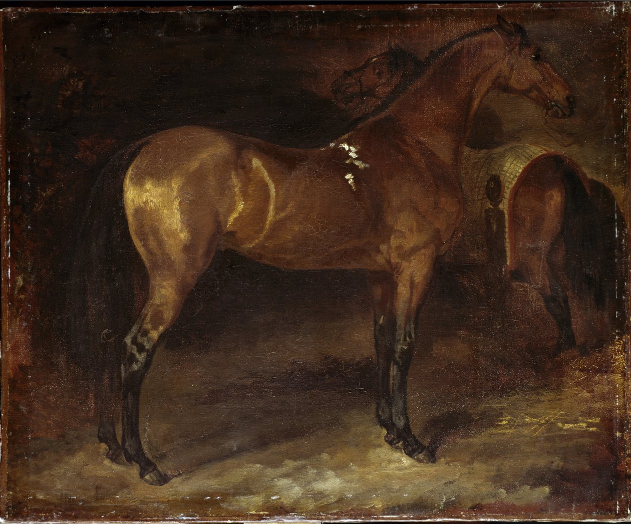 Spansk häst - olja på duk av Theodore Gericault