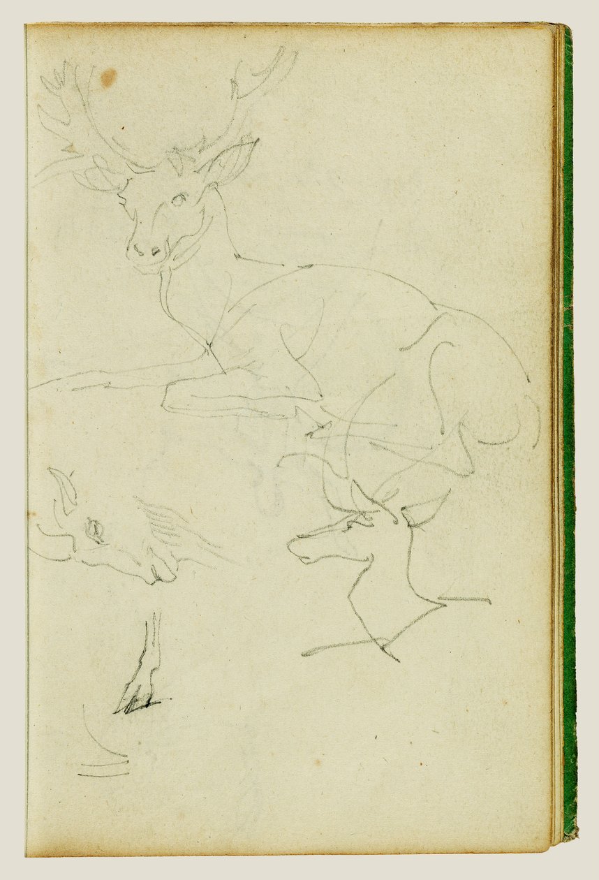 Studier av en sittande hjort, ett hjortkalv och ett gethuvud av Theodore Gericault