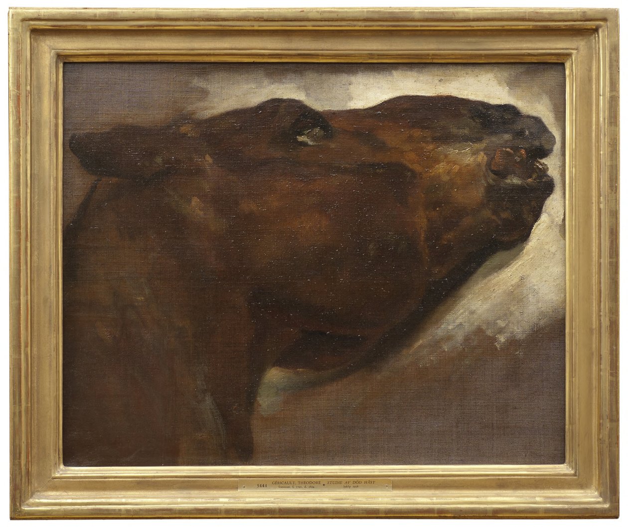 Studie av en död häst av Theodore Gericault