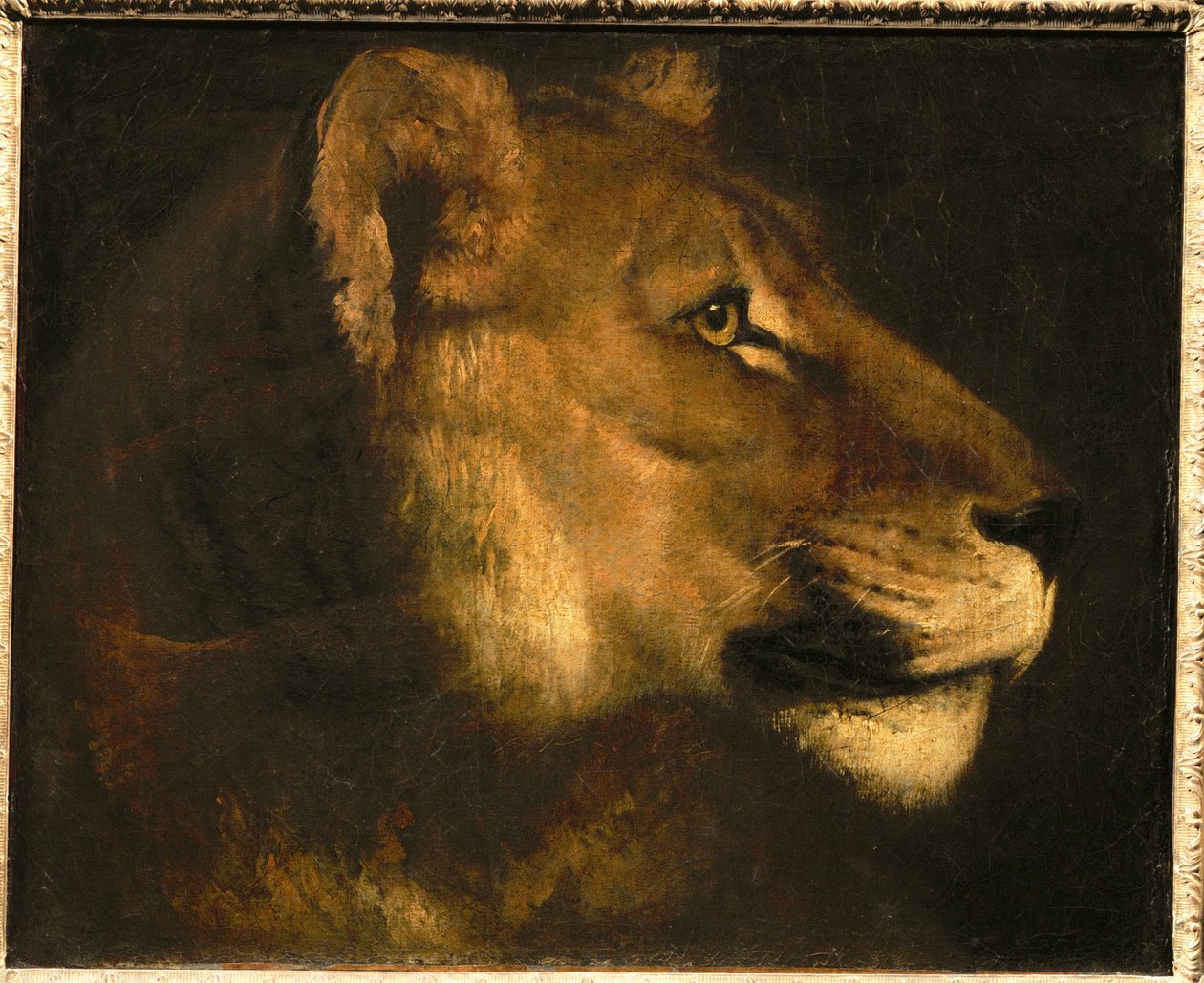 Tete de lionne. Huvud av en lejoninna ... av Theodore Gericault