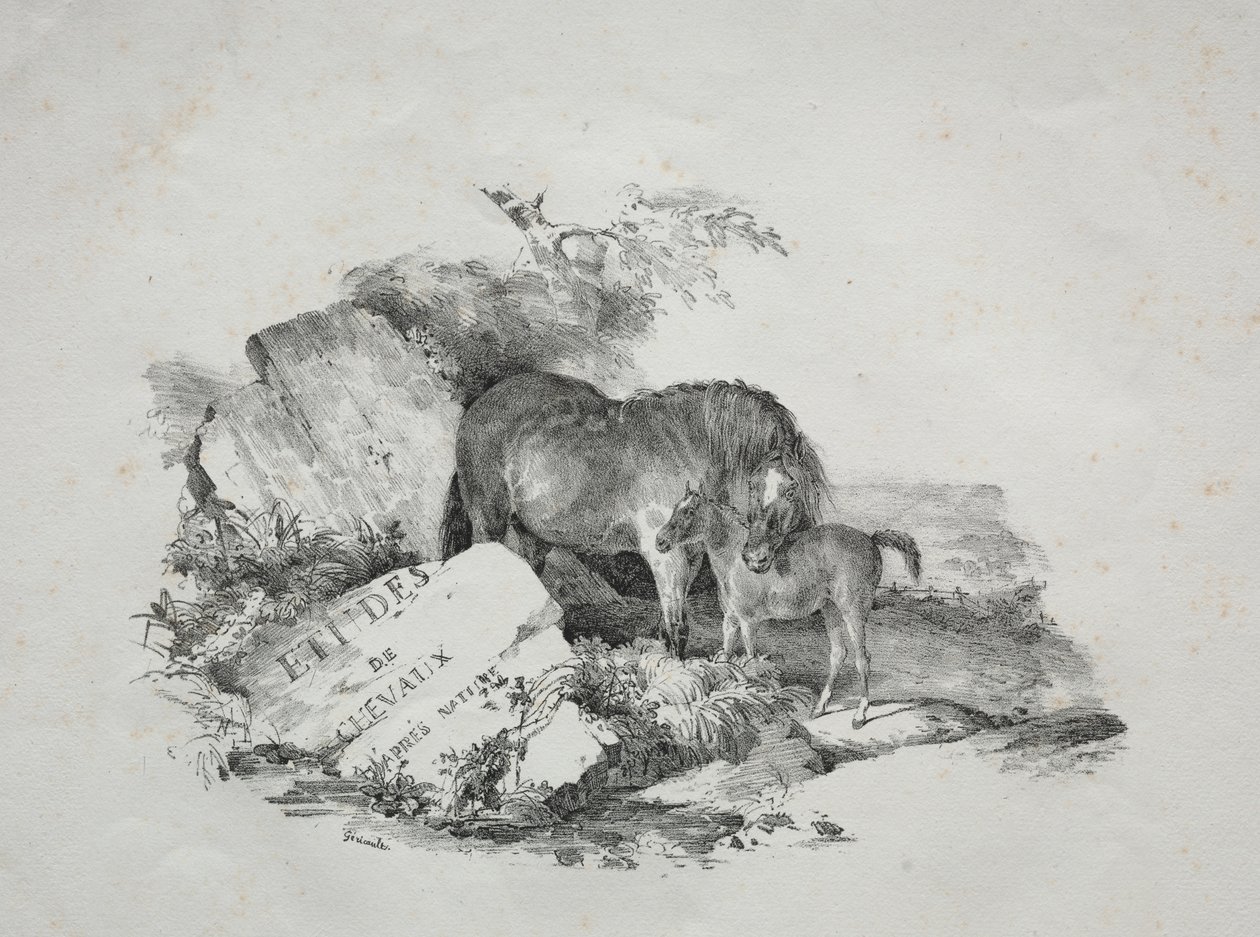 Stoet och hennes föl av Theodore Gericault