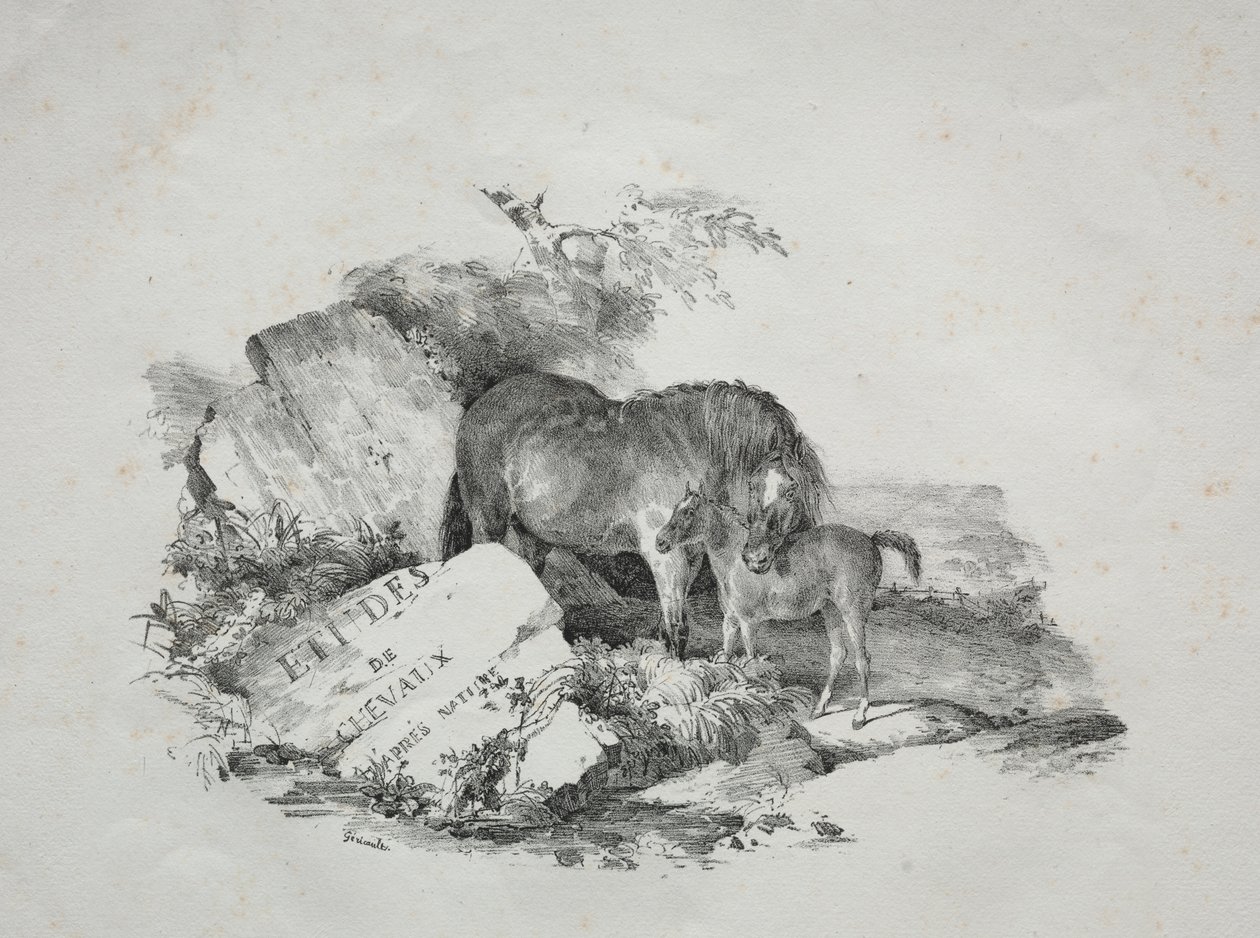 Stoet och hennes föl av Theodore Gericault