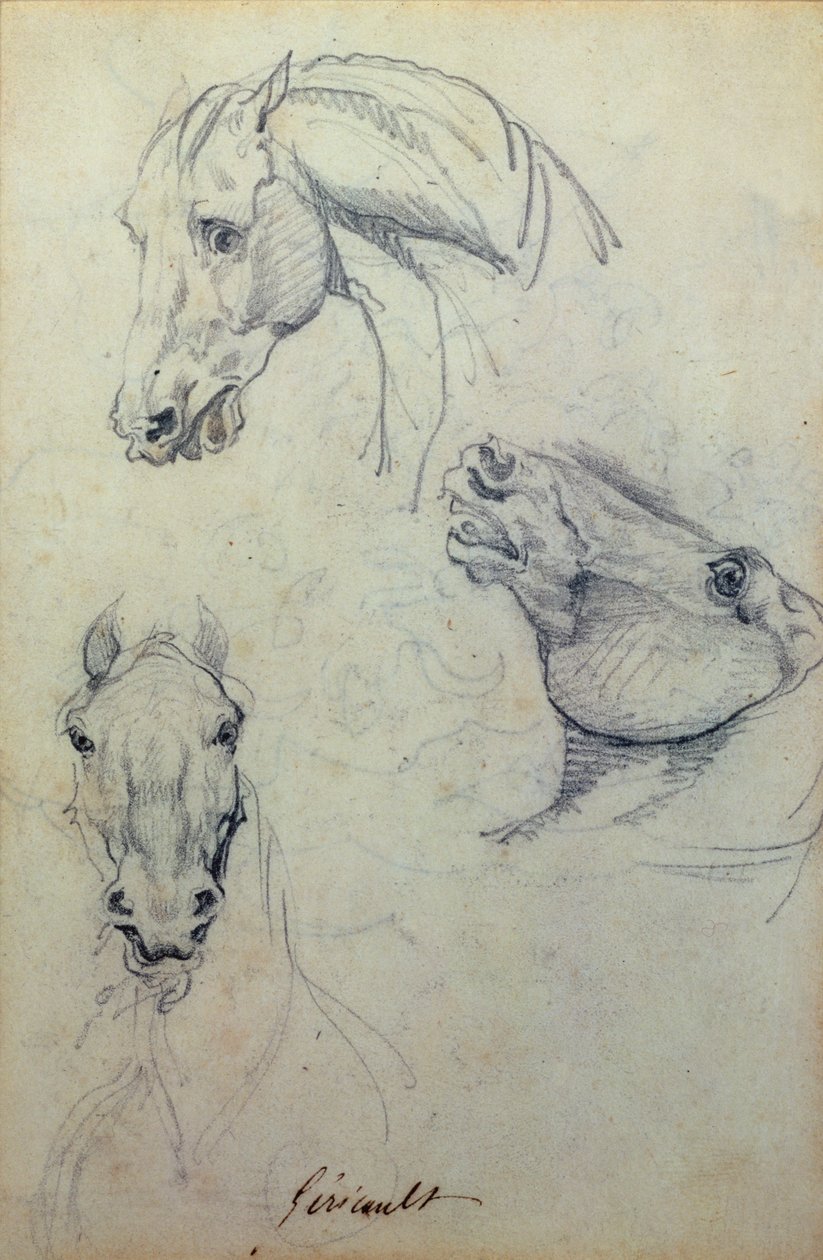 Tre hästhuvuden (blyerts) av Theodore Gericault