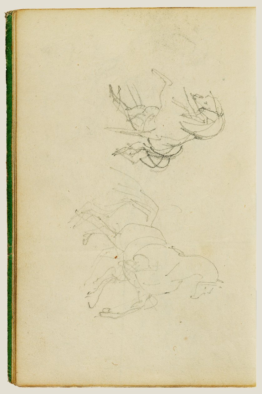 Två studier av en uppfödningshäst av Theodore Gericault