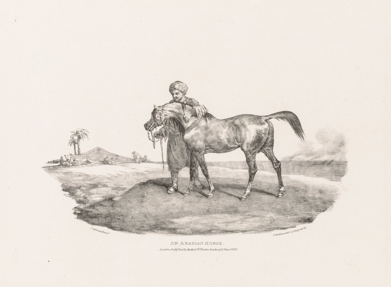 Olika motiv tecknade efter naturen och på sten:  En arabhäst av Theodore Gericault