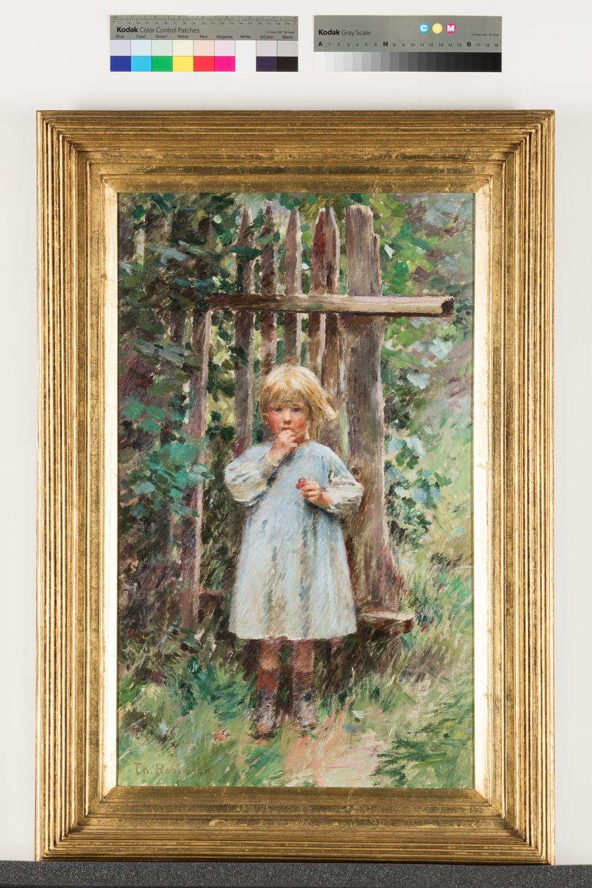 En marodör av Theodore Robinson