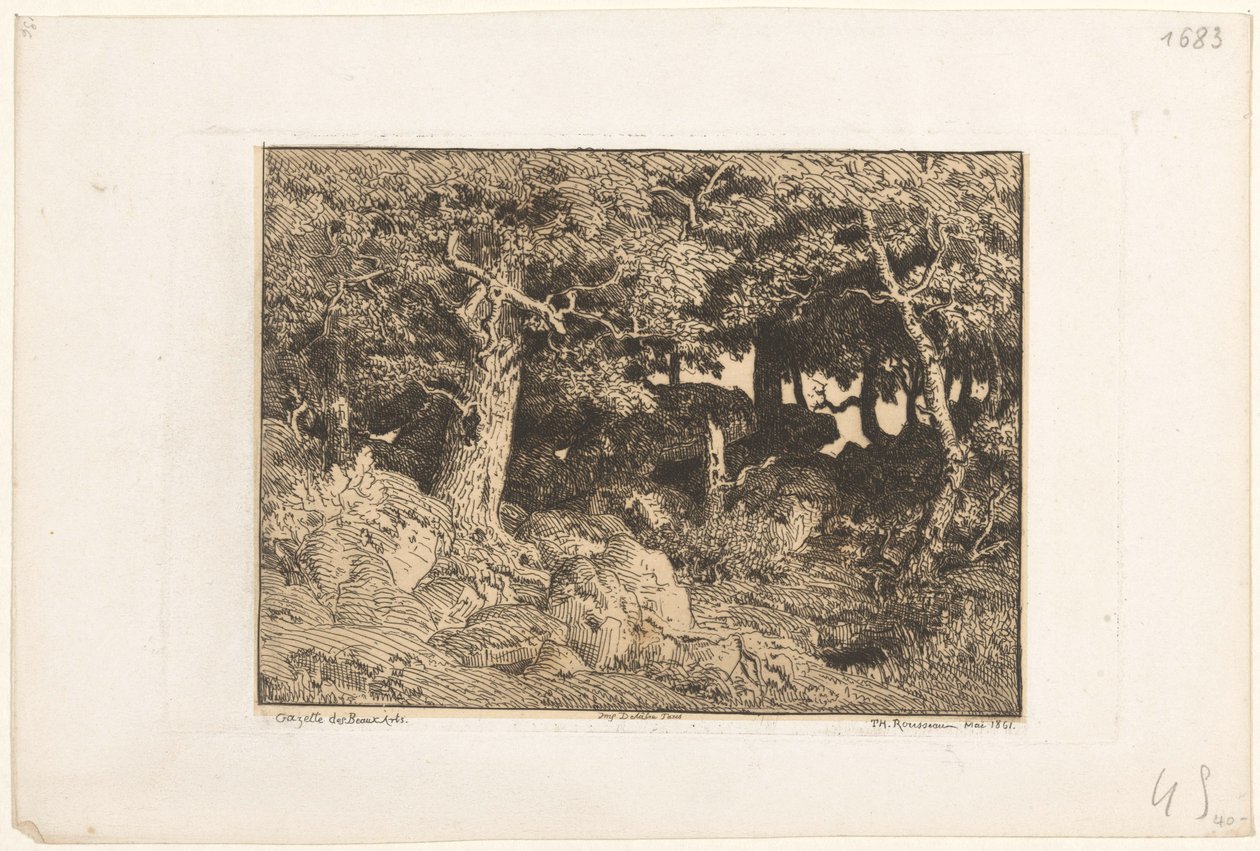 Ekar på stenar Chenes de Roche (originaltitel) av Theodore Rousseau