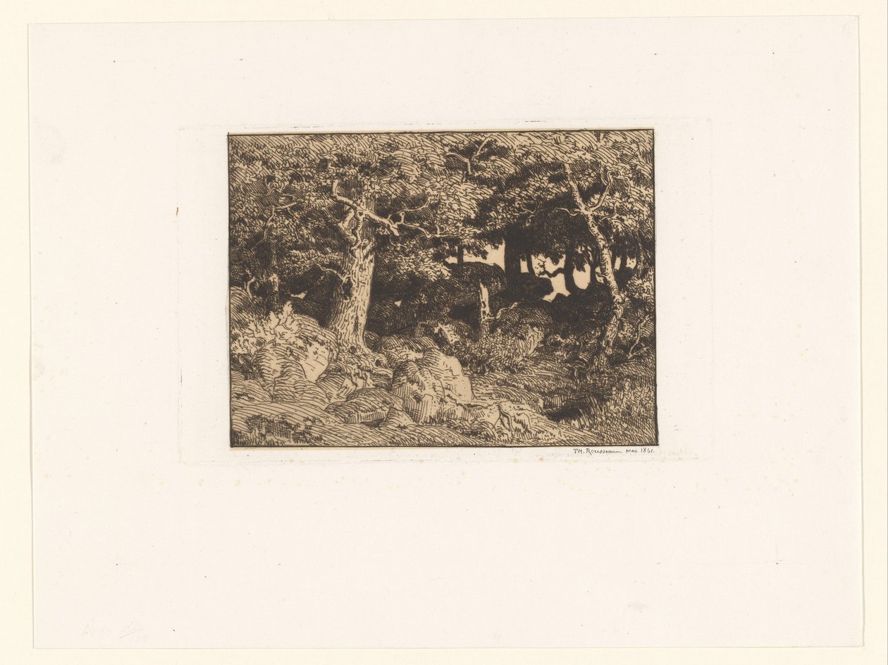 Ekar på klippor Chenes de Roche (originaltitel) av Theodore Rousseau