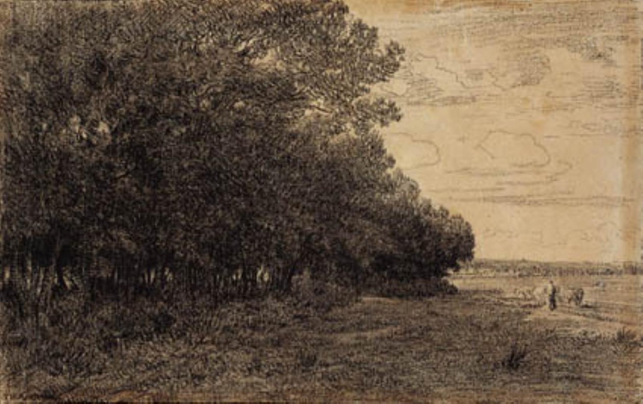 En liten grupp höga träd vid Macherin-skogen av Theodore Rousseau