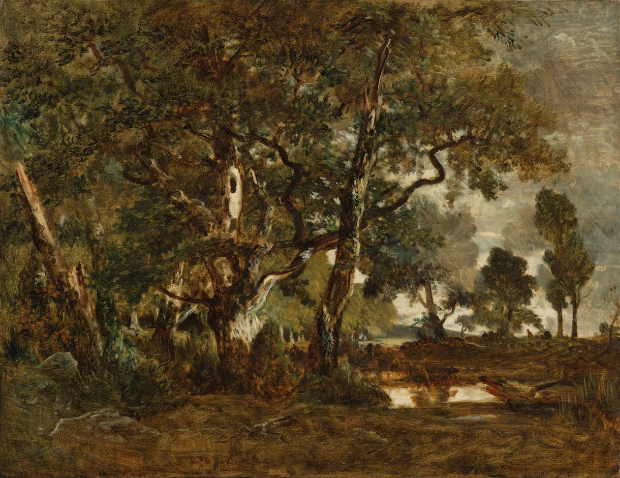 Fontainebleau-skogen, grupp av höga träd med utsikt över Clair-Bois-slätten i utkanten av Bas-Bréau av Theodore Rousseau