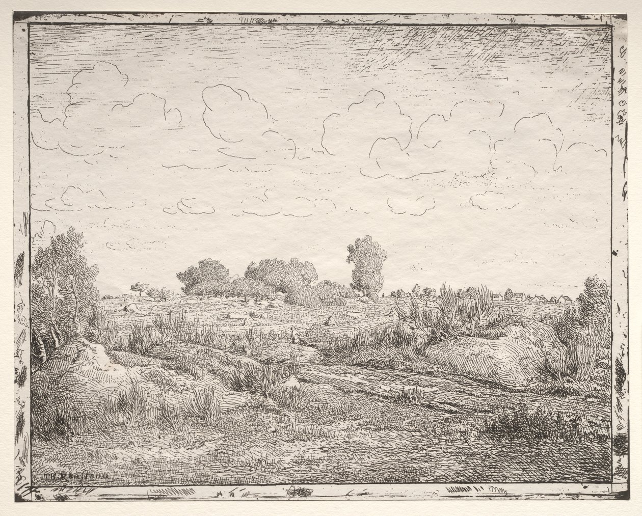 Växtslätten i Biau av Theodore Rousseau