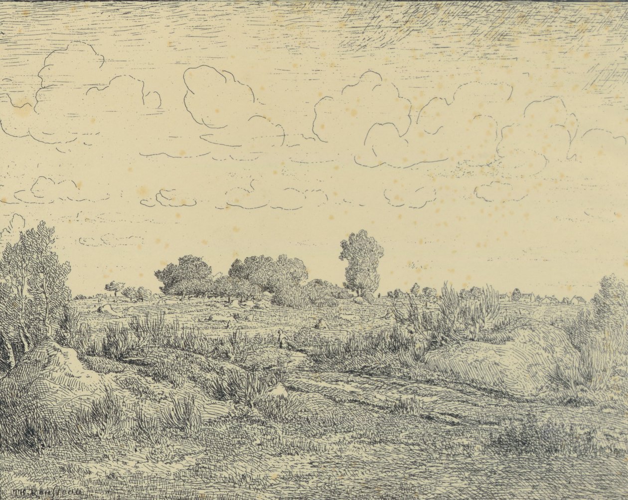 Plaine de La Plante i Biau av Theodore Rousseau