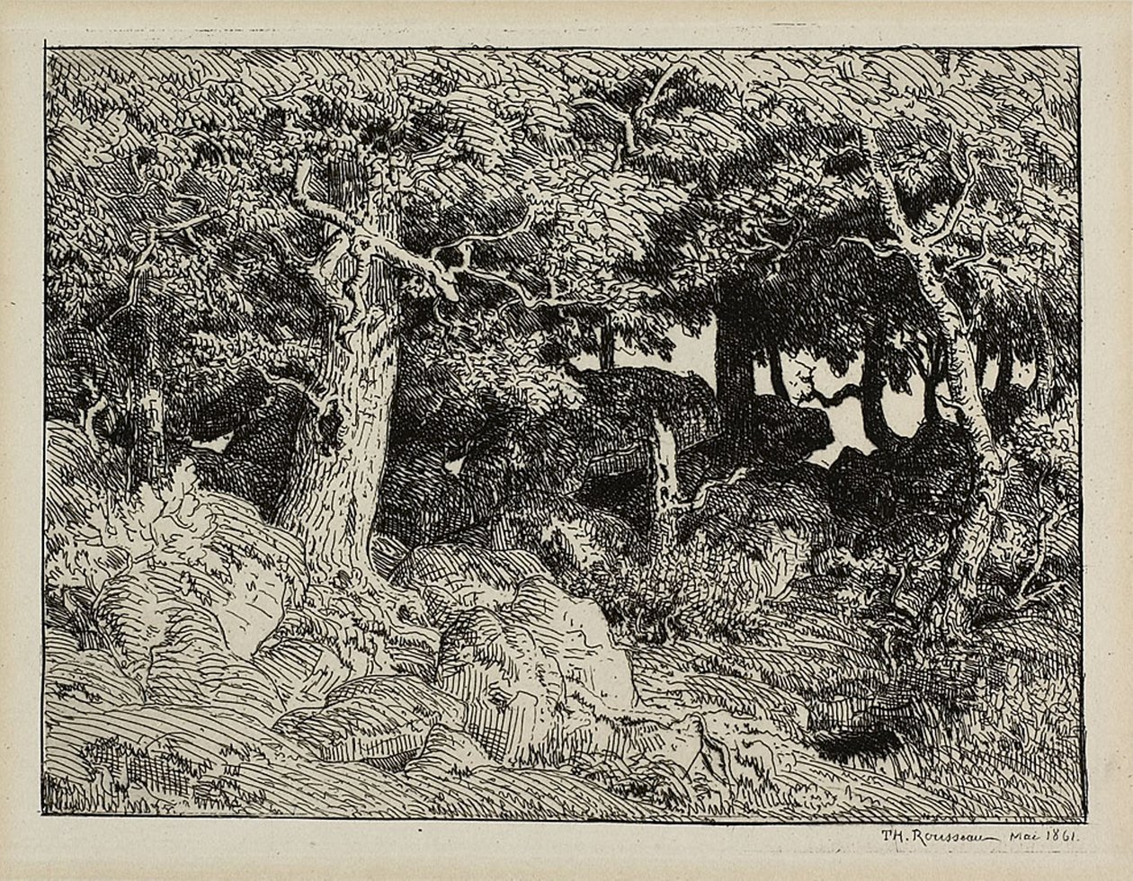 Ek från Rocks av Theodore Rousseau
