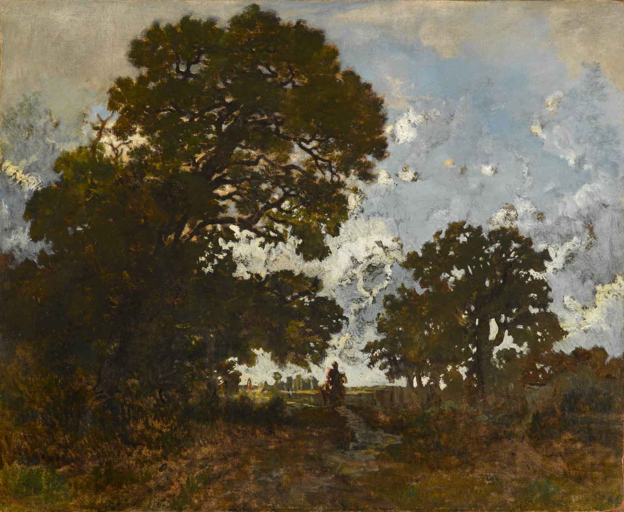 Boken i skogen av L