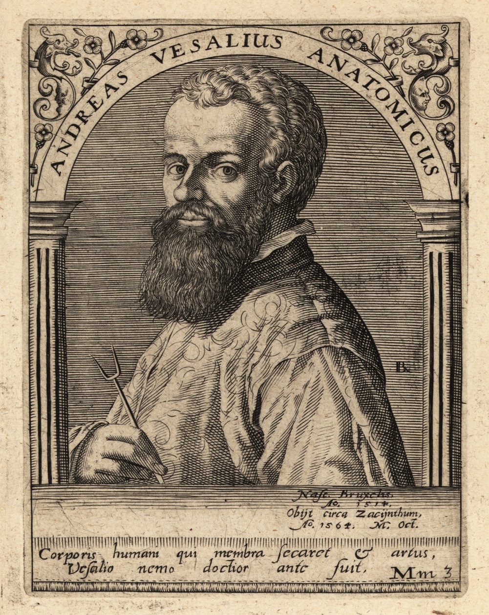 Andreas Vesalius, flamländsk läkare, anatom av Theodore de Bry