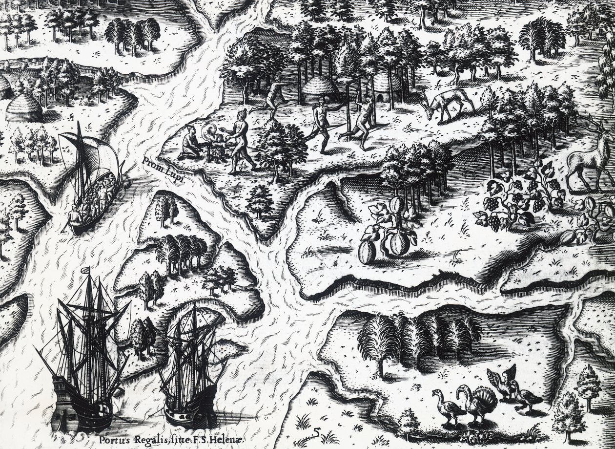 Fransmans ankomst till Port Royal 1564, av Theodor de Bry (1528-1598) från målning av Jacques le Moyne de Morgues (ca 1533-före 1588), gravyr av Theodore de Bry