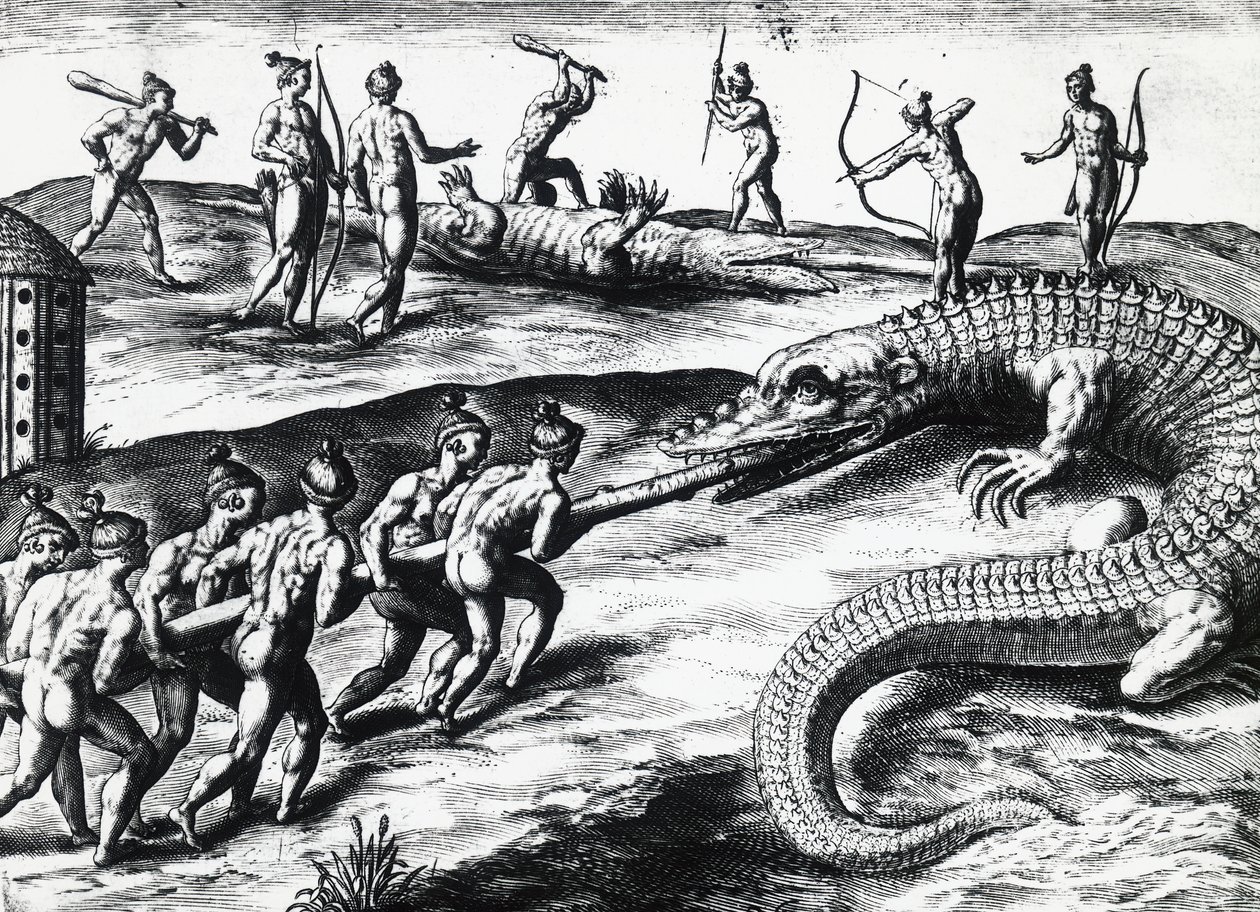 Krokodiljakt i Florida, från målning av Jacques le Moyne de Morgues (ca 1533-före 1588), av Theodor de Bry (1528-1598). gravyr av Theodore de Bry