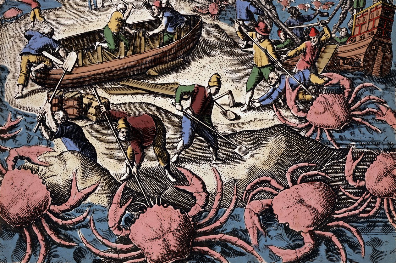 Europeiska navigatörer som slåss mot stor krabba. Gravyr från "Petities voyages aux Indes Orientales" av Theodore de Bry av Theodore de Bry