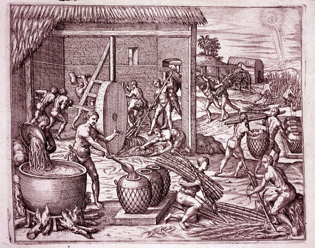 Amerikas historia: skörd av sockerrör och sockerproduktion av indiska slavar som arbetar för de spanska conquistadorerna (gravyr av Theodore de Bry