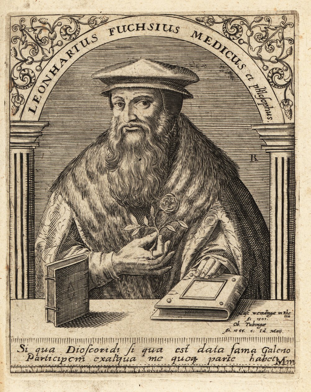 Leonhart Fuchs, tysk läkare och botaniker 1501-1566. av Theodore de Bry