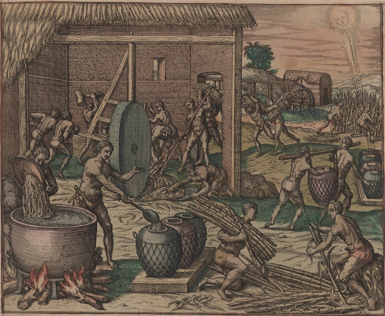 Slavar bearbetar sockerrör och gör socker, 1595. av Theodore de Bry